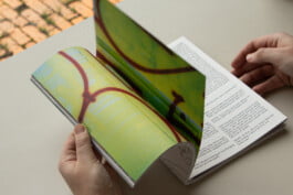 Brigit van Eijk, grafisch ontwerper 